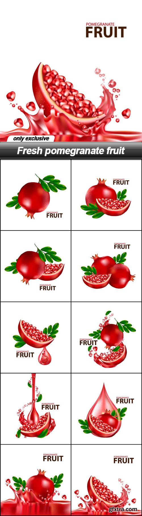 Fresh pomegranate fruit - 11 EPS