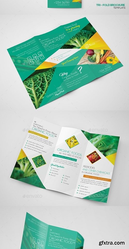 GraphicRiver - Organic Food Set Template 16643046