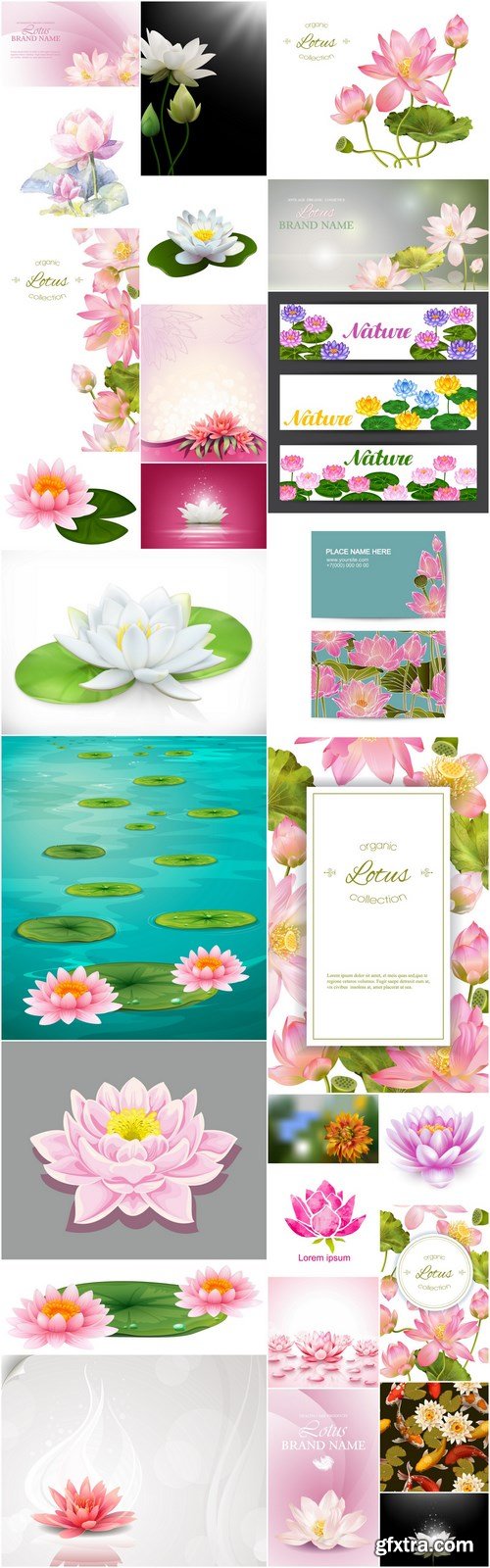 Lotus Flowers - 26 Vector