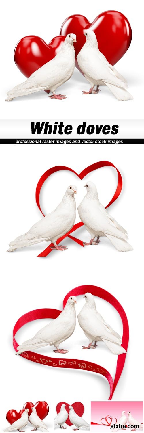 White doves - 5 UHQ JPEG