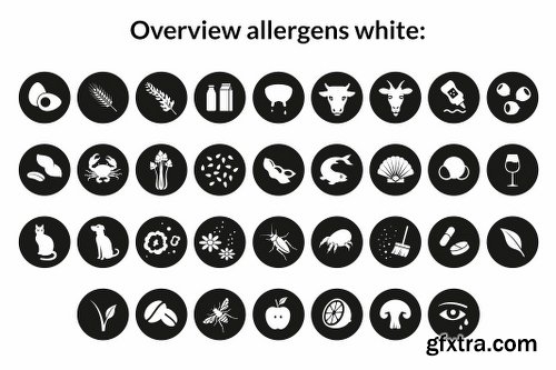 CreativeMarket Food & Allergen Icon Font Set 1160142