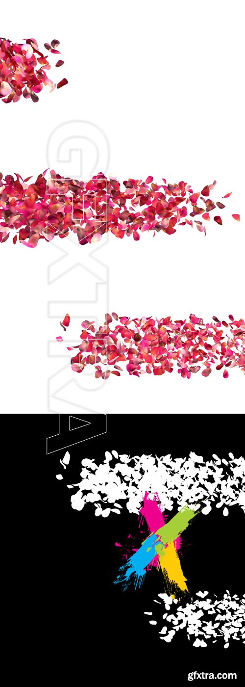 Rose petals on white background with alpha channel Footage