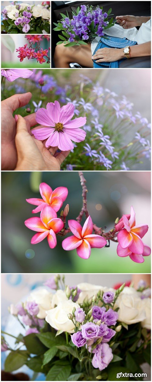 Beautiful bouquet of flowers6X JPEG