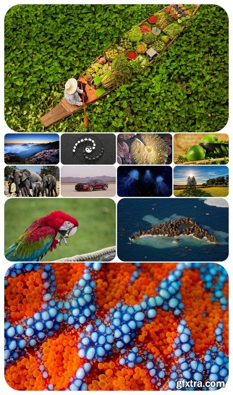 Beautiful Mixed Wallpapers Pack 417