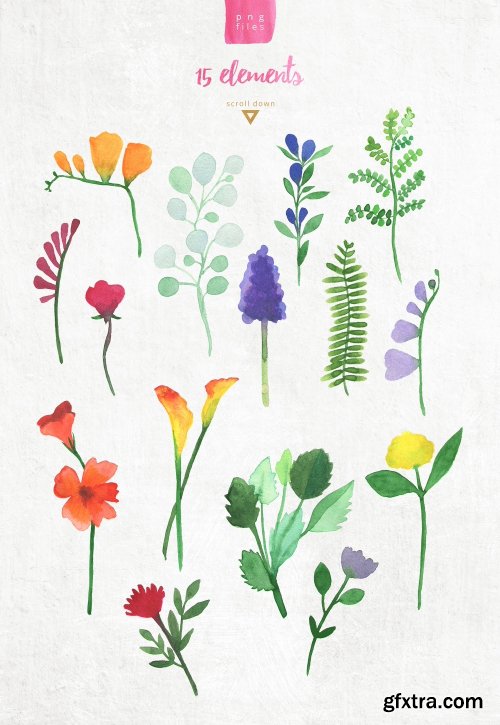 CreativeMarket Watercolor Pack Flowers 1170168