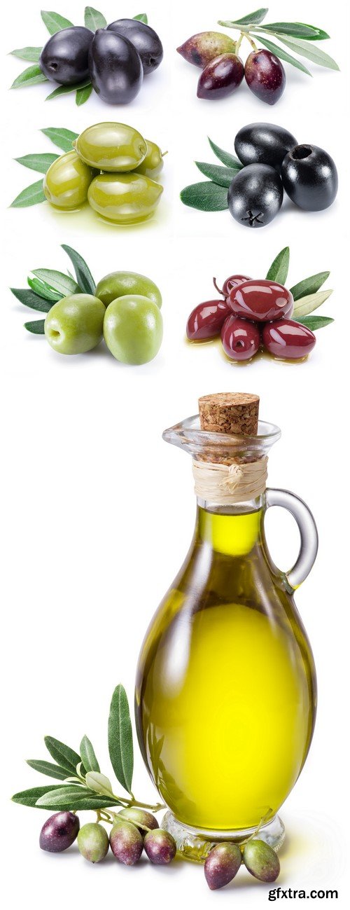 Olive fruit and olive leaves 7X JPEG