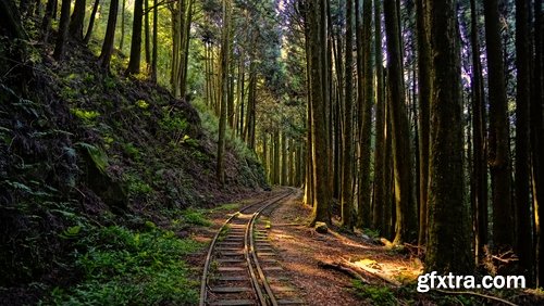 Collection of the train in the forest railway sleepers rails 25 HQ Jpeg