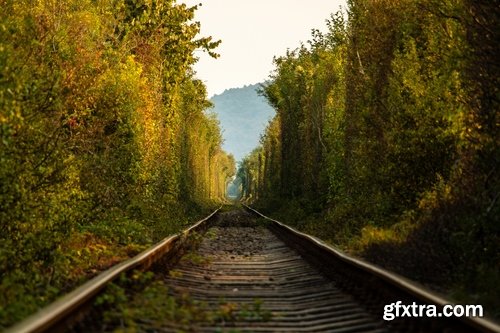 Collection of the train in the forest railway sleepers rails 25 HQ Jpeg