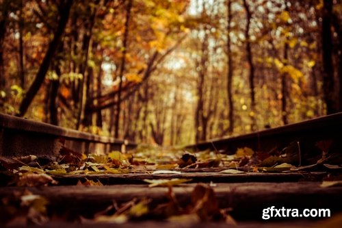 Collection of the train in the forest railway sleepers rails 25 HQ Jpeg