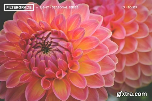 FilterGrade Light & Seasonal Photoshop Actions