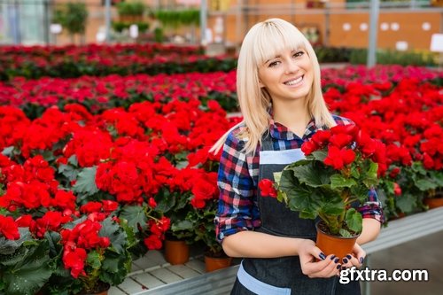 Collection of flower in a pot indoor plant decoration germ sprout a petal 25 HQ Jpeg