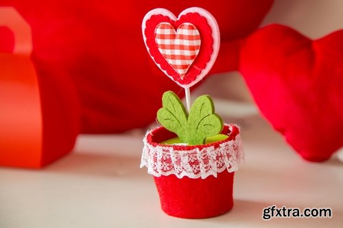 Collection of flower in a pot indoor plant decoration germ sprout a petal 25 HQ Jpeg