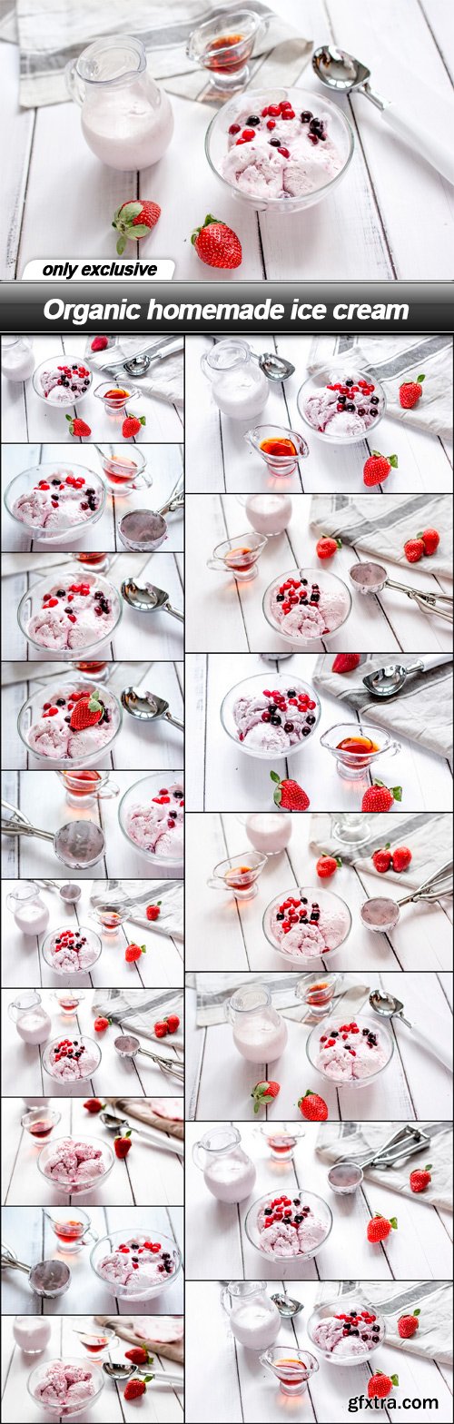 Organic homemade ice cream - 17 UHQ JPEG