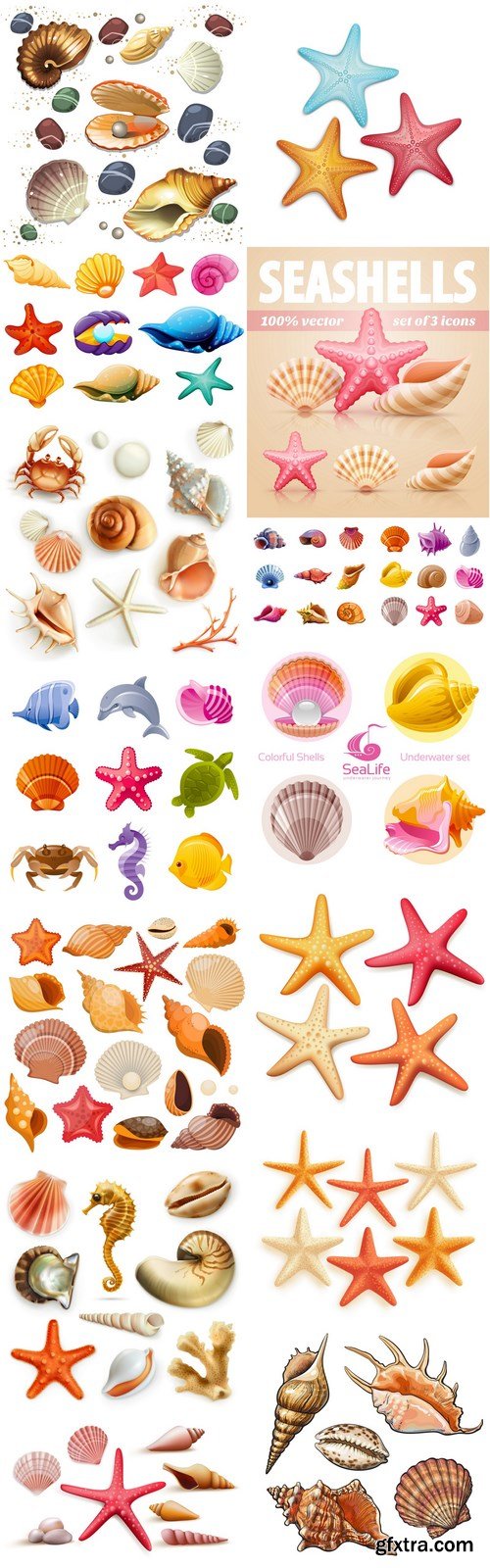 Seashells Collection - 15 Vector