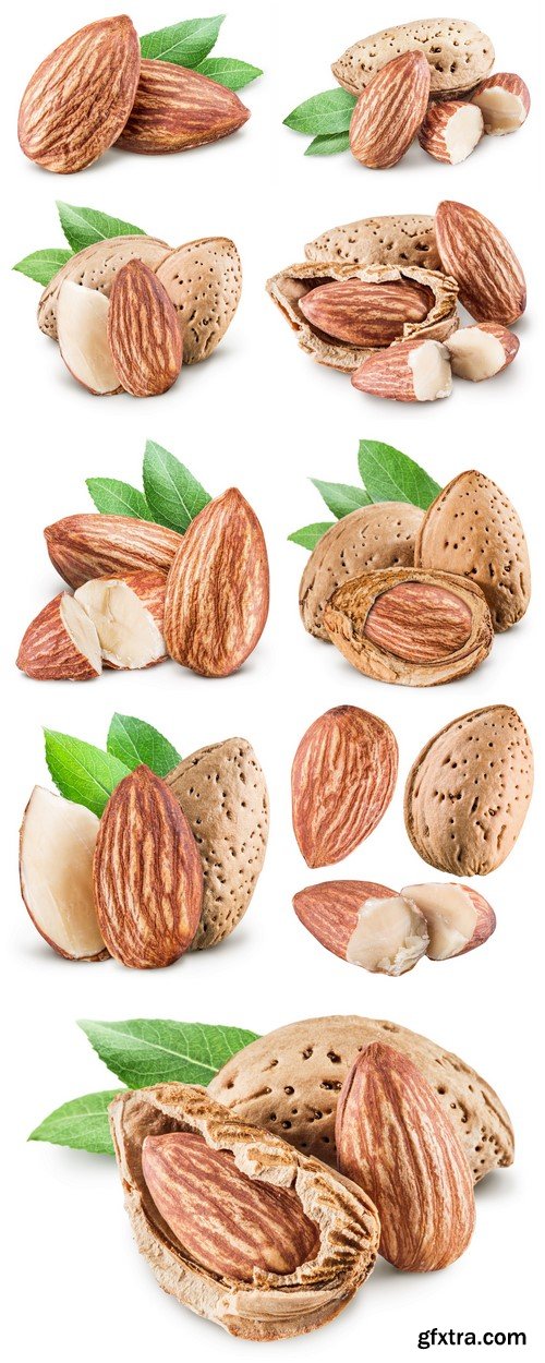 Almond nuts 9X JPEG