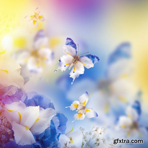 Backgrounds with butterflies - 7 UHQ JPEG