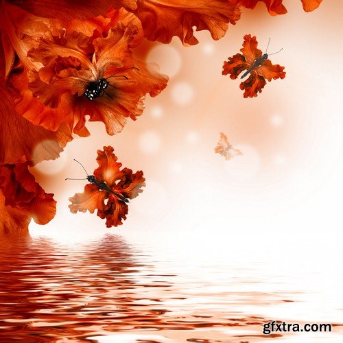 Backgrounds with butterflies - 7 UHQ JPEG