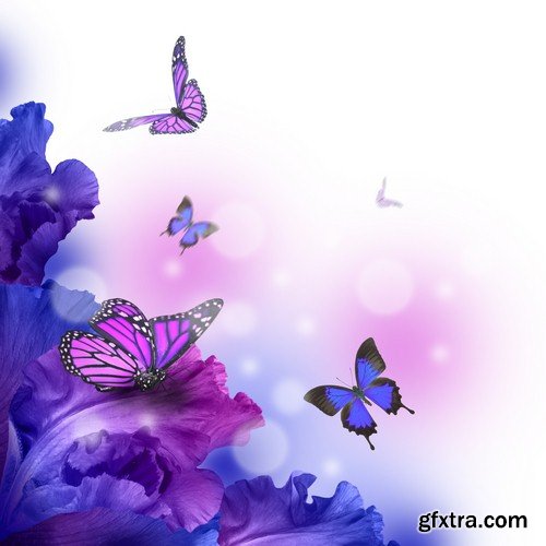 Backgrounds with butterflies - 7 UHQ JPEG