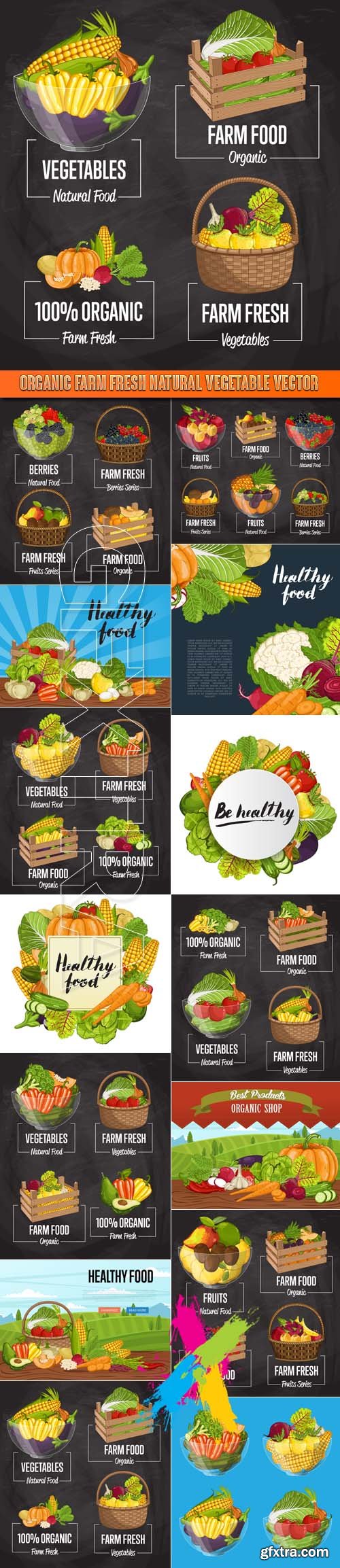 Organic farm Fresh natural vegetable vector