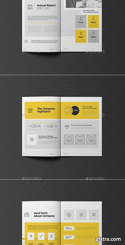 GraphicRiver - Annual Report 18779477