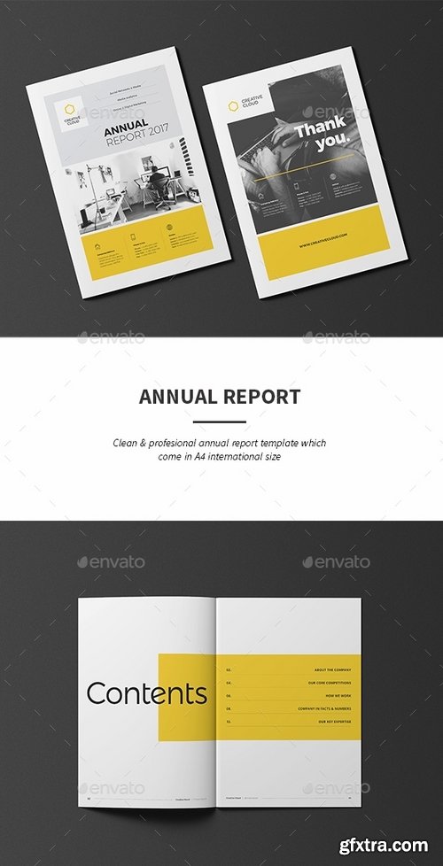 GraphicRiver - Annual Report 18779477