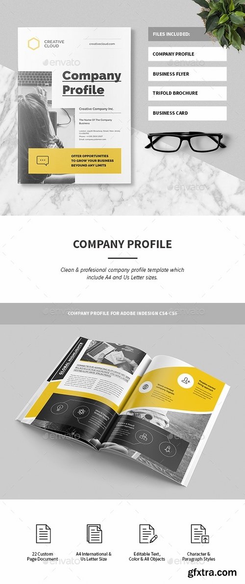 GraphicRiver - Company Profile 17338639