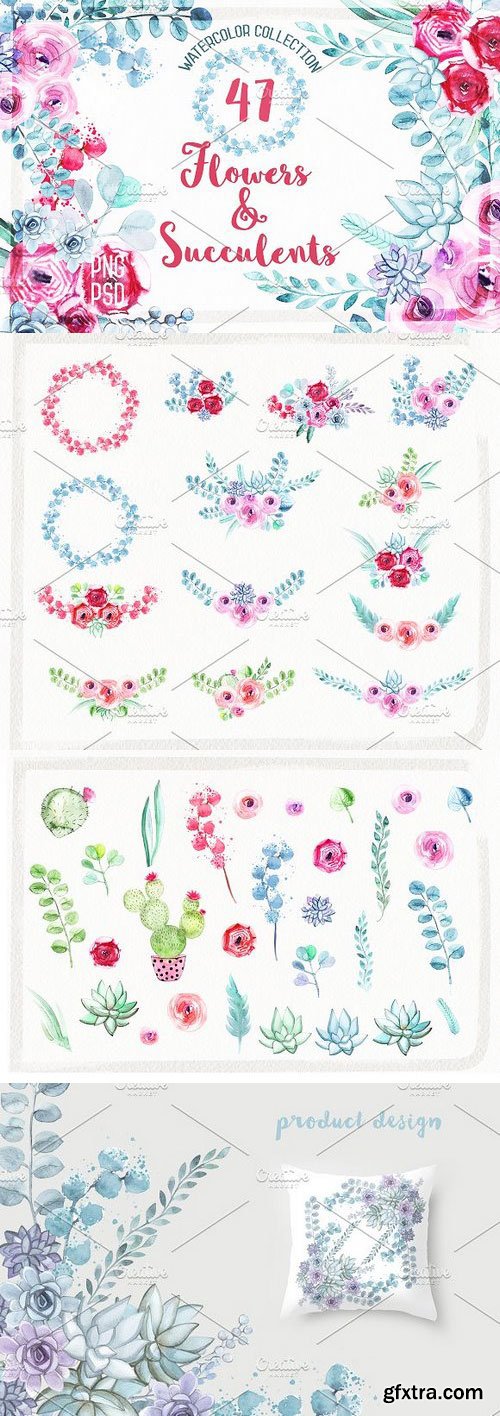 CM - Watercolor Flowers and Succulents 270549