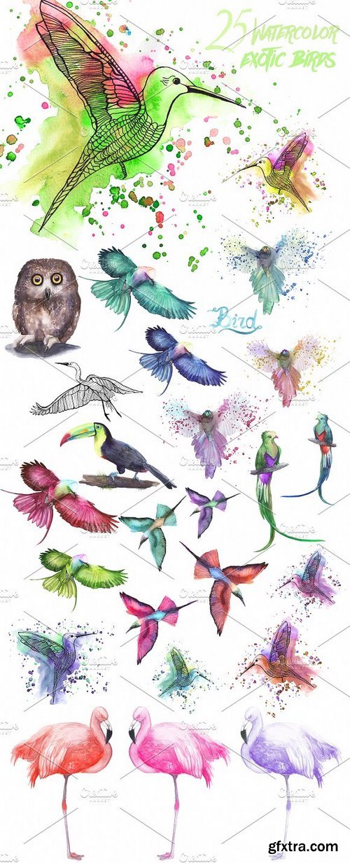 CM - Watercolor Exotic Birds 245996