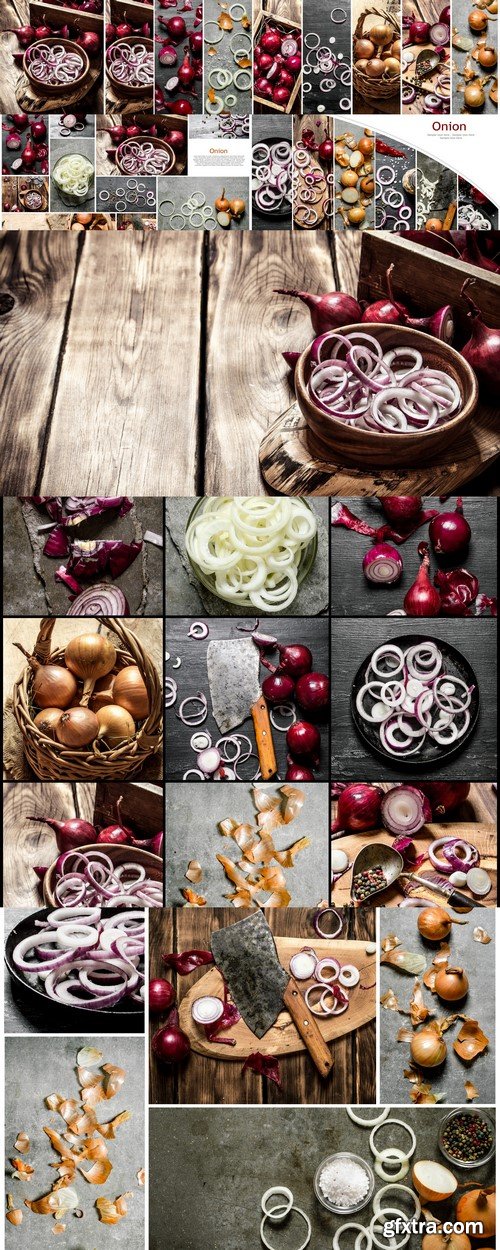 Food collage of onions #1 7X JPEG