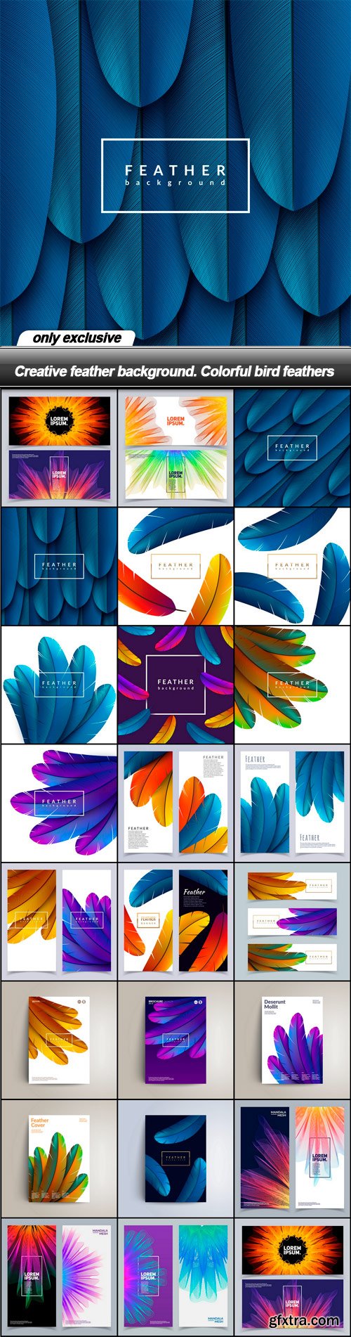 Creative feather background. Colorful bird feathers - 23 EPS