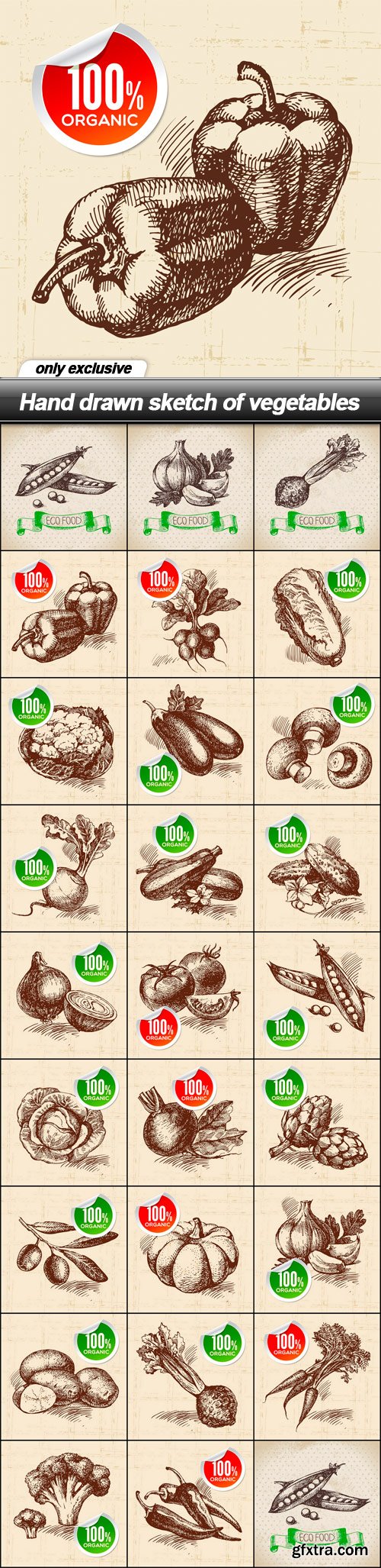 Hand drawn sketch of vegetables - 26 EPS