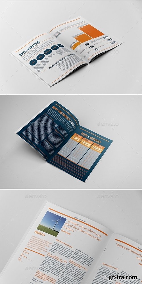 GraphicRiver - Business Proposal Indesign Template 2035514