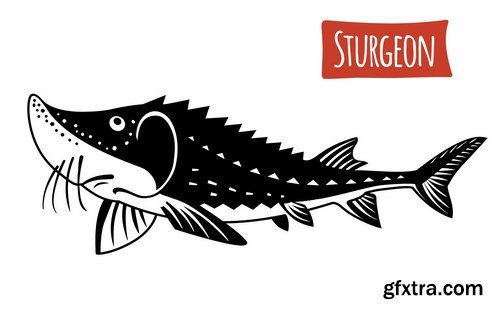 Collection of sturgeon fish icon flyer logo banner 25 EPS