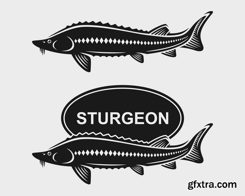 Collection of sturgeon fish icon flyer logo banner 25 EPS