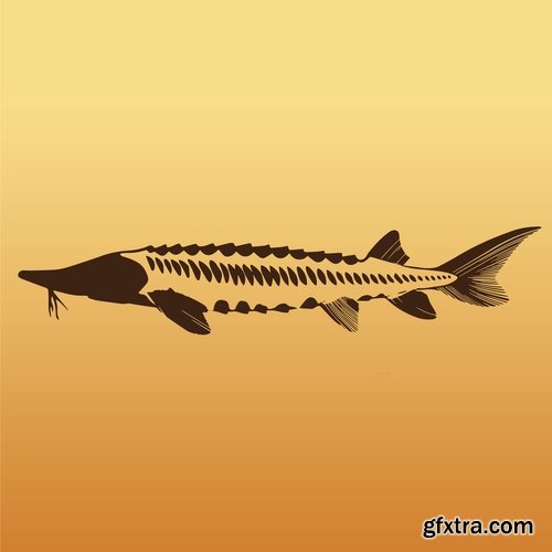 Collection of sturgeon fish icon flyer logo banner 25 EPS