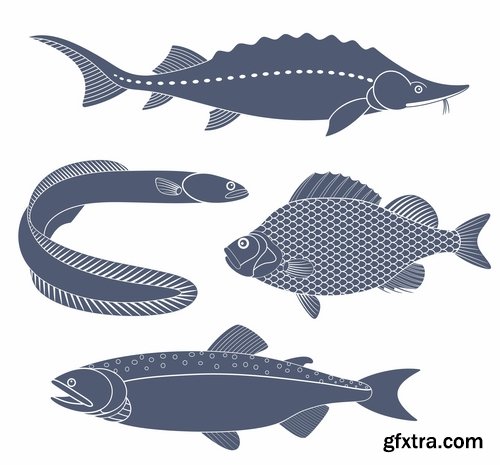 Collection of sturgeon fish icon flyer logo banner 25 EPS