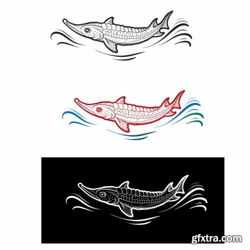 Collection of sturgeon fish icon flyer logo banner 25 EPS