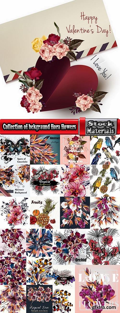 Collection of bekgraund flora flowers parrot fish greeting card gift card the cover 25 EPS