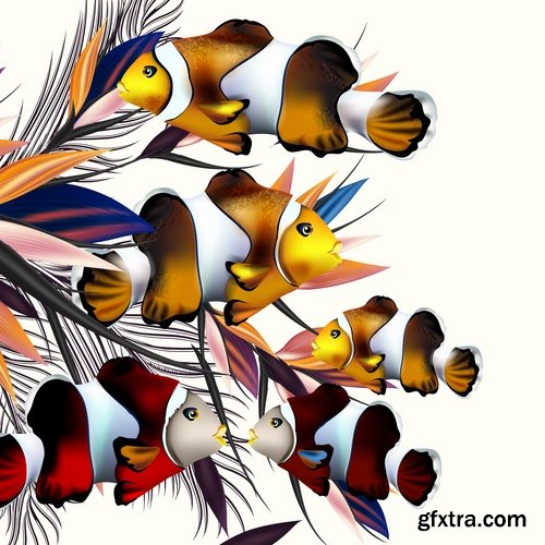 Collection of bekgraund flora flowers parrot fish greeting card gift card the cover 25 EPS