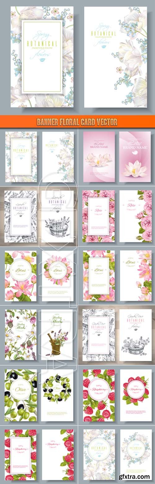 Banner floral card vector