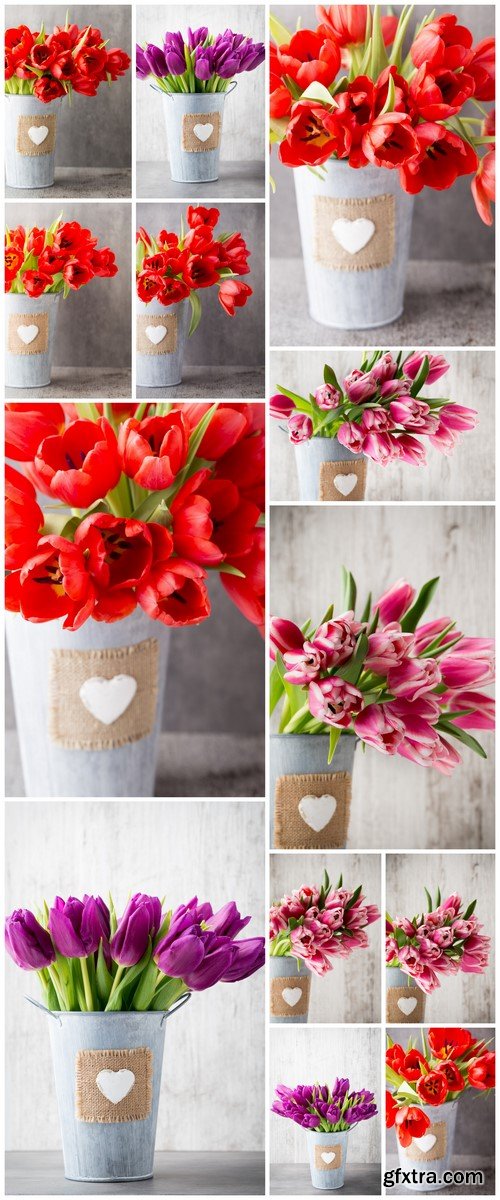 Bouquet of tulips on a gray background 13X JPEG