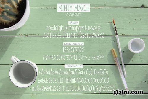 CreativeMarket Condensed serif font, Minty March 1020721