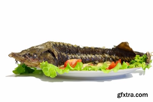 Collection of dishes from sturgeon fish fried delicacy red white meat 25 HQ Jpeg