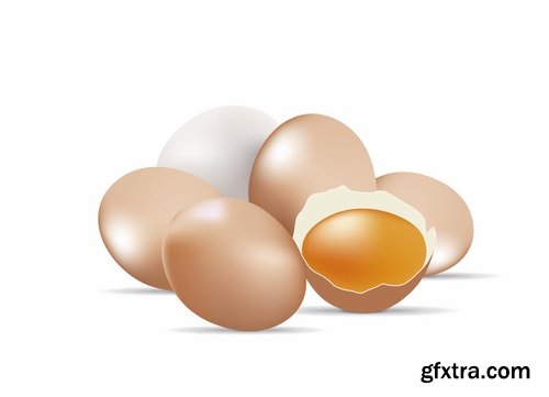 Collection of egg shell eggs breakfast omelette 25 EPS