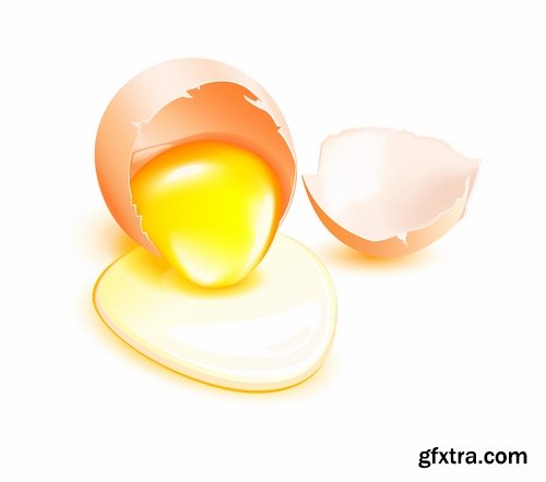 Collection of egg shell eggs breakfast omelette 25 EPS