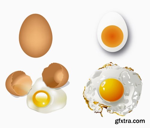 Collection of egg shell eggs breakfast omelette 25 EPS