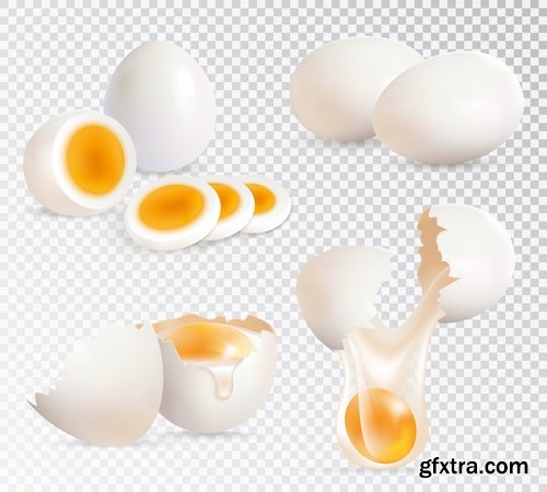 Collection of egg shell eggs breakfast omelette 25 EPS