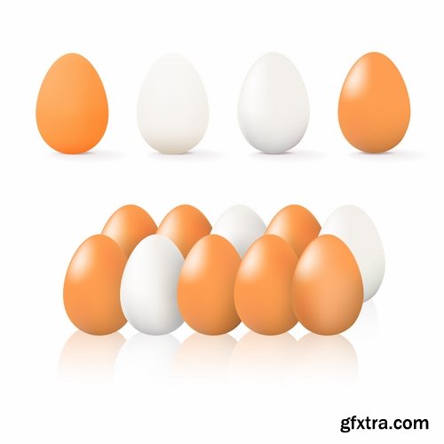 Collection of egg shell eggs breakfast omelette 25 EPS