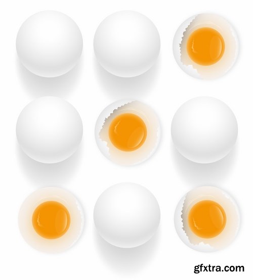 Collection of egg shell eggs breakfast omelette 25 EPS