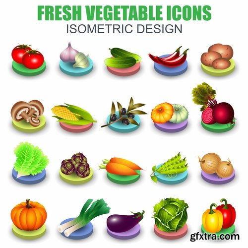 Collection of icon realistic image food animals 15 EPS